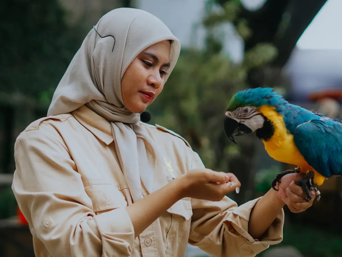 Naples Zoo